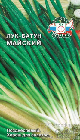Лук батун Красная ножка 0,5гр