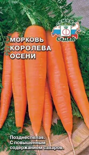 Морковь Королева осени 300шт ГЛ