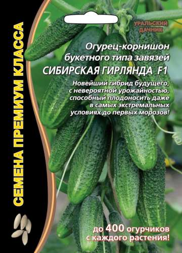 Огурец Сибирская гирлянда