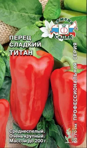 Перец сладкий Денис 12шт