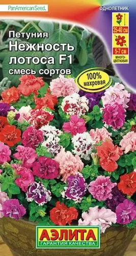 Петуния Нежные чувства бахром.