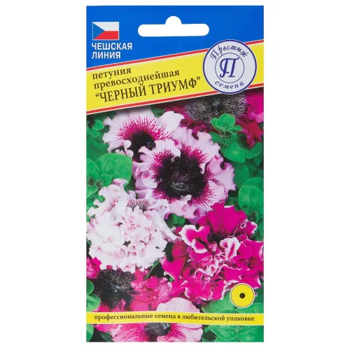 Петуния Хлоя