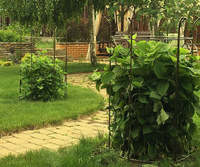 Подставка под бумажные полотенца