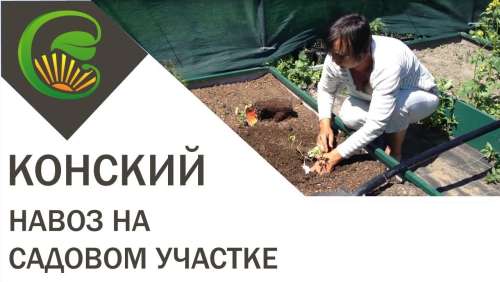 Перчатки ЛИСТОК  с латекс. покрытием M-L