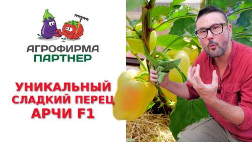 Чистящее средство для кухни Azelit 0,6л GRASS