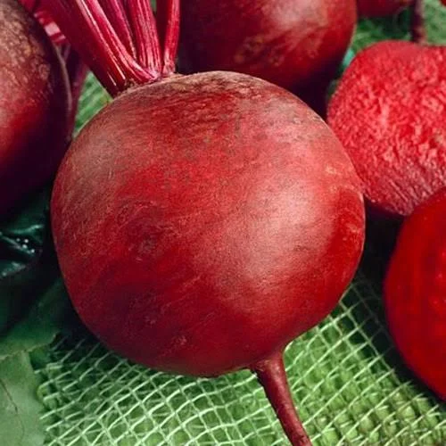 Свекла Рекорд Поли