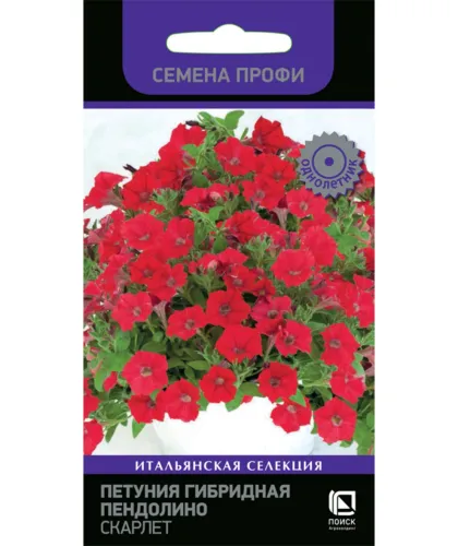 Петуния Пендолино Скарлет