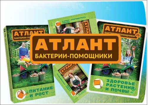 АТЛЕТ ЗЕЛ АПТЕКА 1,5мл