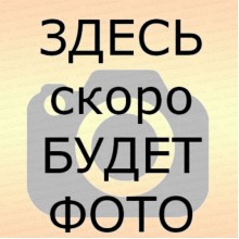 Аэрозоль унив. ДИХЛОФОС Варан Экстра 300мл