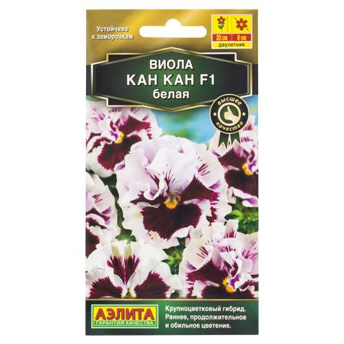 Виола Кан-кан белая 