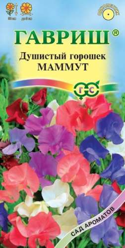 Душистый горошек Маммут, смесь