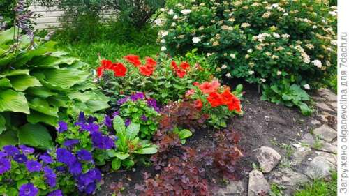 Ерш бутылочный 380мм с губкой "Классика" бордо к9393