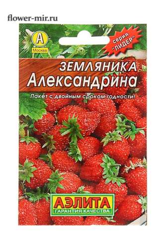 Земляника Али-Баба 0,04гр