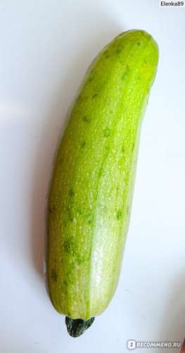 Кабачок Ассорти смесь 2гр