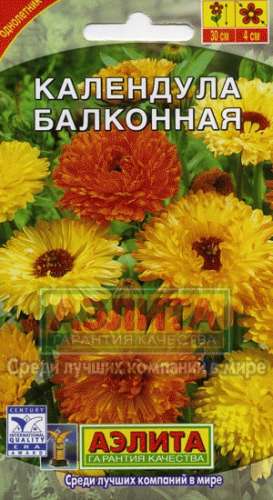 Календула Богиня солнца