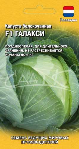Капуста б/к Альбатрос 0,1г 