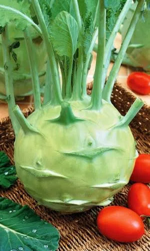 Капуста кольраби Венская белая 1350 0,5гр