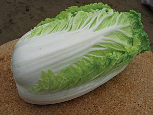 Капуста пекинская Натсуки