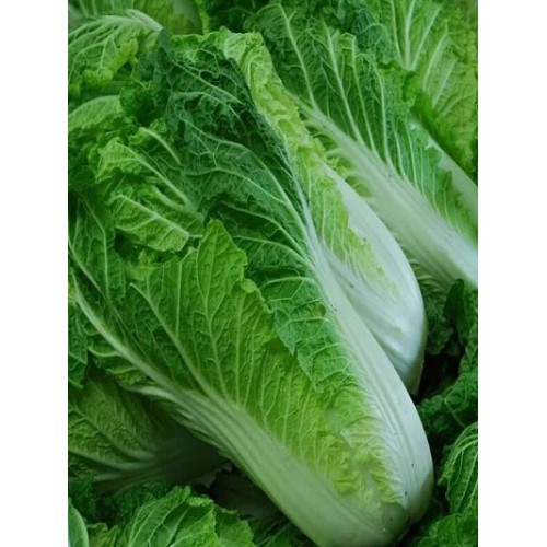 Капуста пекинская Осенняя Красавица F1 0.3гр