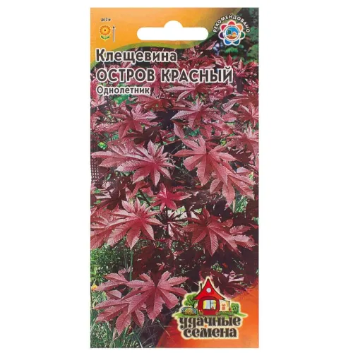 Клещевина Остров Красный