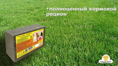 Комплект 3-х видов запасных пружин к секаторам ИА