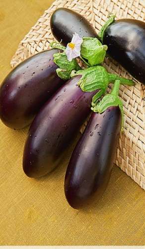 Кориандр Шашлычный 2гр