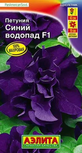 Петуния Водопад Анхель