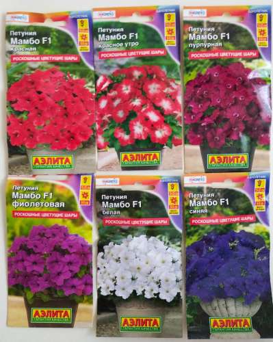 Петуния Мондиаль голубая