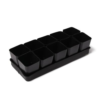 Статица Радужная смесь 0,1гр