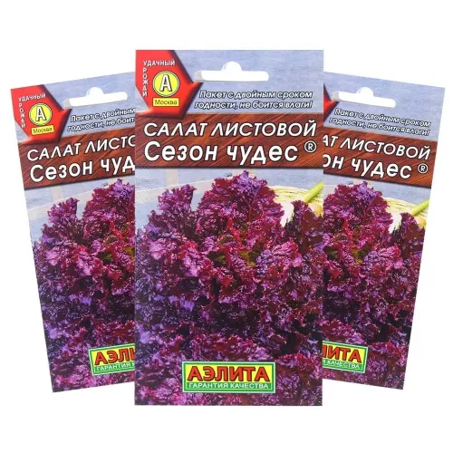 Салат Сезон чудес листовой 0,5гр