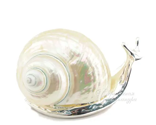 Улитка 11см прозрачная (под коннектор)