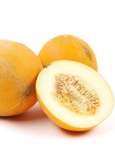 Дыня Колхозница 1гр