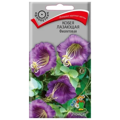 Кобея Фиолетовая лазающая 5шт