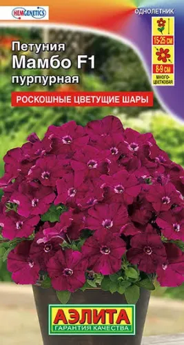 Петуния Мамбо пурпурная многоц. 7шт