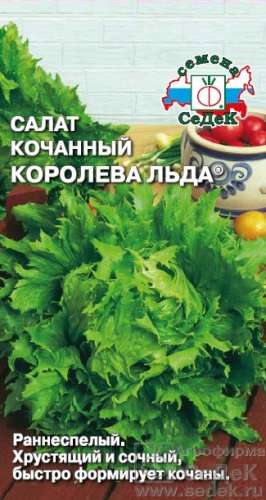 Салат Король рынка 1г кочанный
