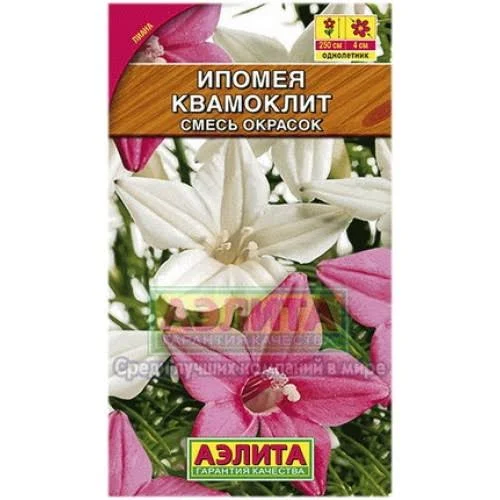 Ипомея Квамоклит смесь 0,5гр