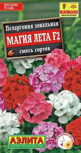 Пеларгония Магия лета смесь 5шт