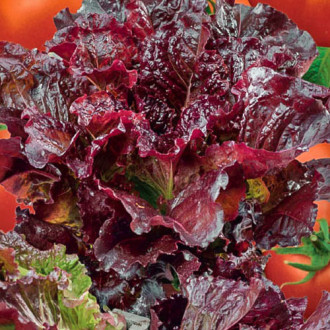 Салат Гранатовый сок