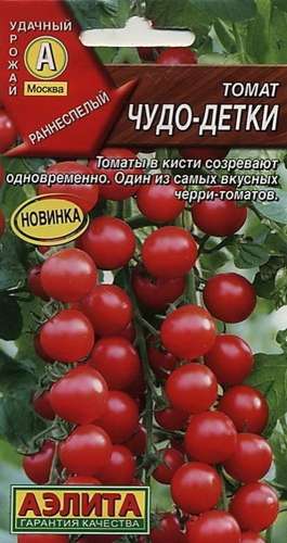 Томат Чудо карлик