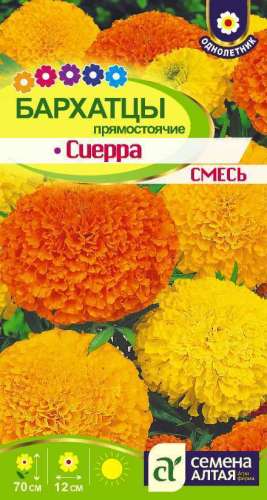 Бегония Розовый фонтан 4шт