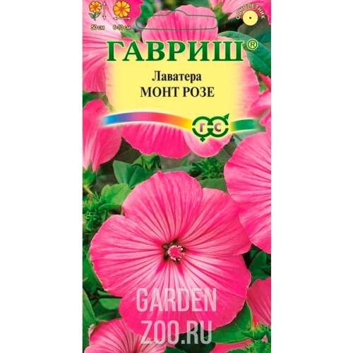 Лаватера Монт Розе 0,5гр