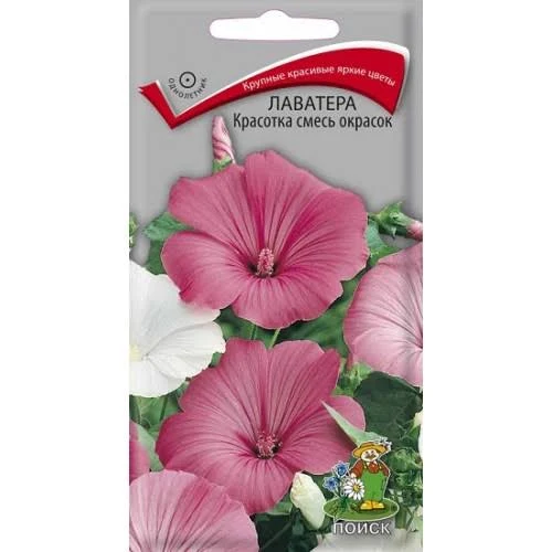 Лаватера Новый свет смесь 0,5гр