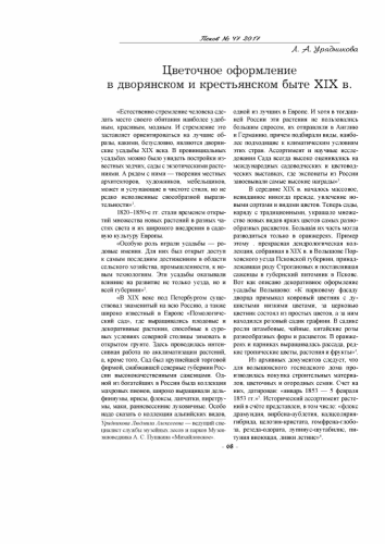 Георгина Мигнон пурпурная 0,2г