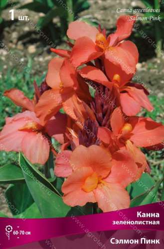 Капуста брокколи Зеленый вельвет 0,3гр