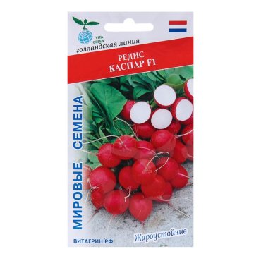 Редис Любаша