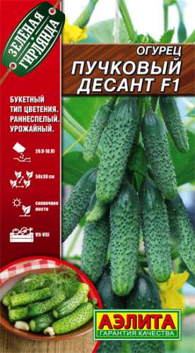 Огурец Пучковый десант
