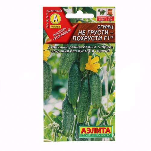 Огурец На засолку