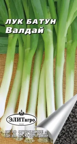 Лук батун Красавец 0,3гр