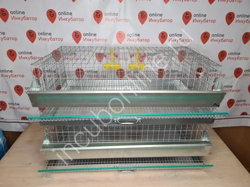 Клетка 2-х ярусная для перепелов в сборе (поилка, канистра, кормушка, поддоны)
