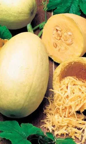 Кабачок спагетти Макаронная Фабрика